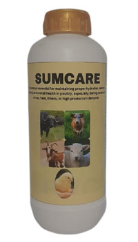 SUMCARE
