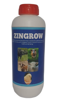 ZINGROW